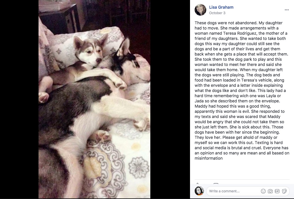 huskies-rescue-12.jpg