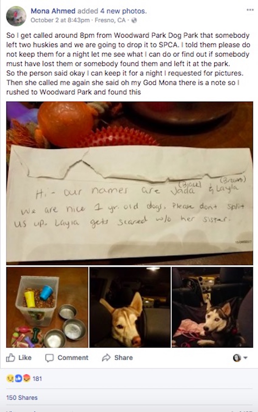huskies-rescue-2.jpg