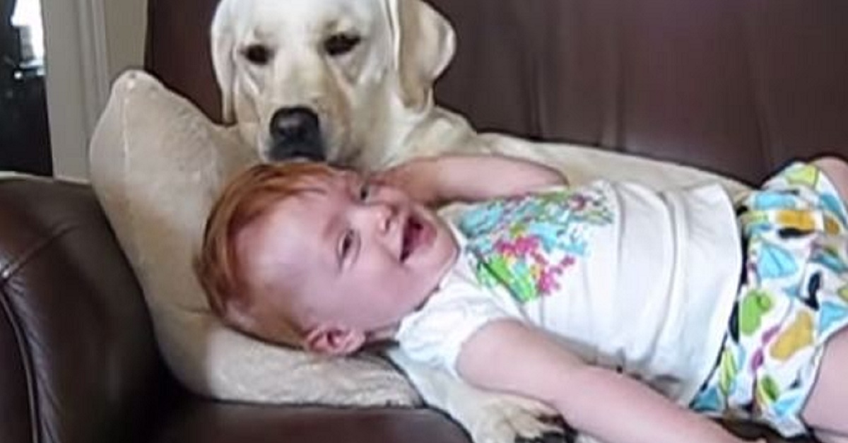 i-cant-believe-what-happened-when-this-kid-and-dog