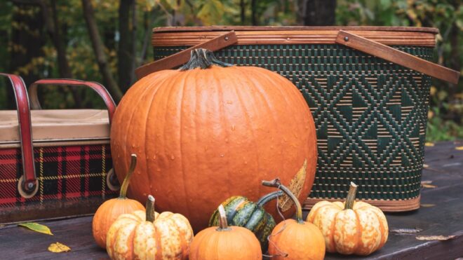 i-tried-fall-picnic-hp