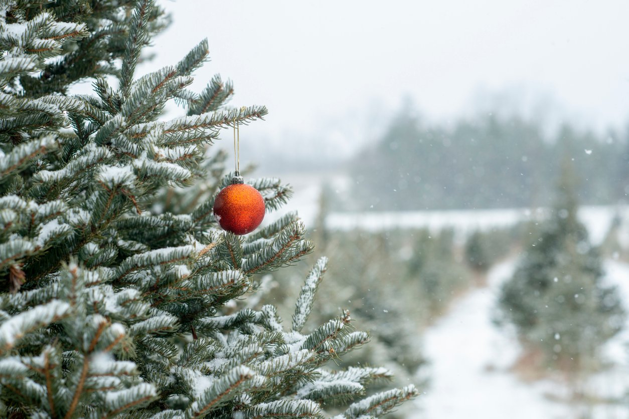 Christmas Decoration