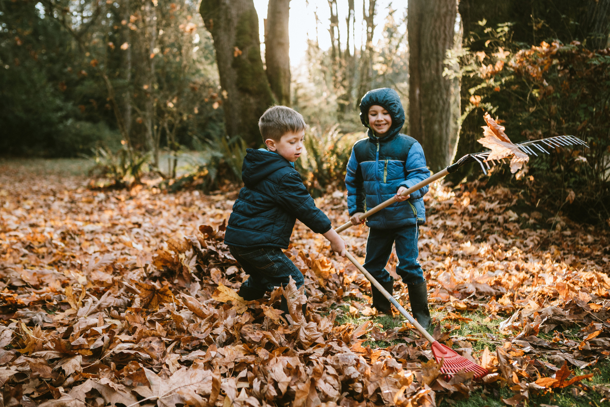 Boys Raking Up Autumn Leaves