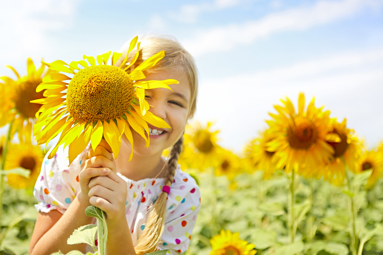 Child playing in sunflower field on sunny summer day