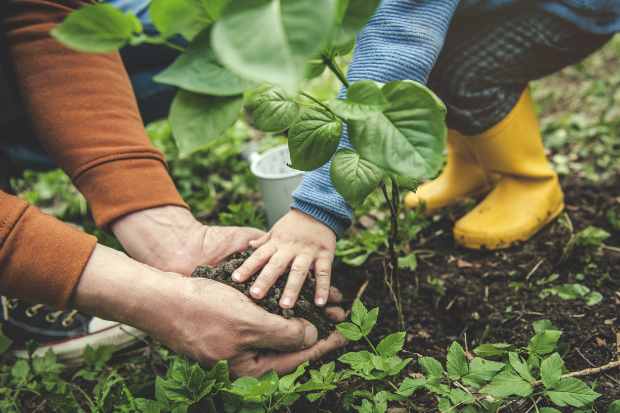 Family planting tree on Arbor day in spring