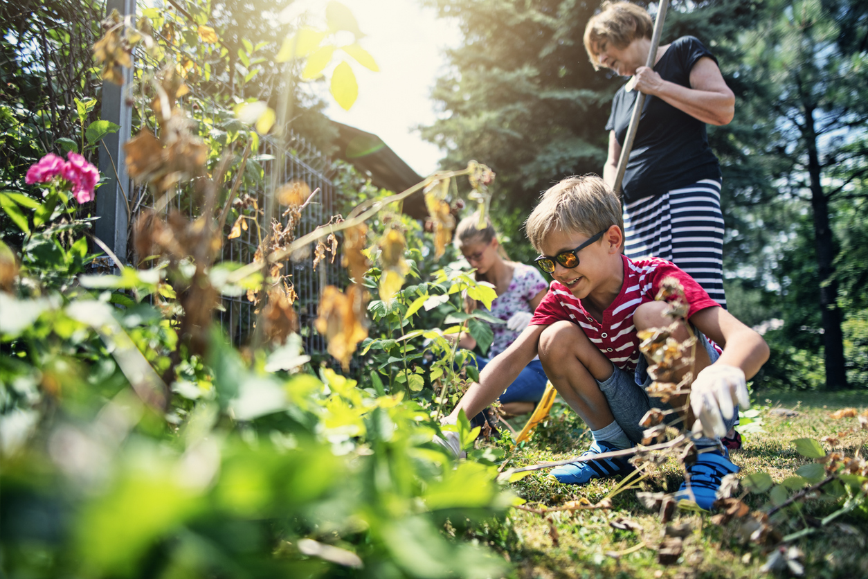 Children helping grandmother weeding in the back yard garden