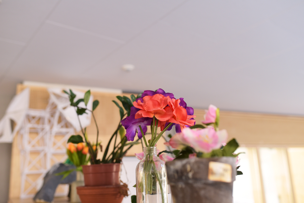 Closeup of pretty flowers in a vase as decoration