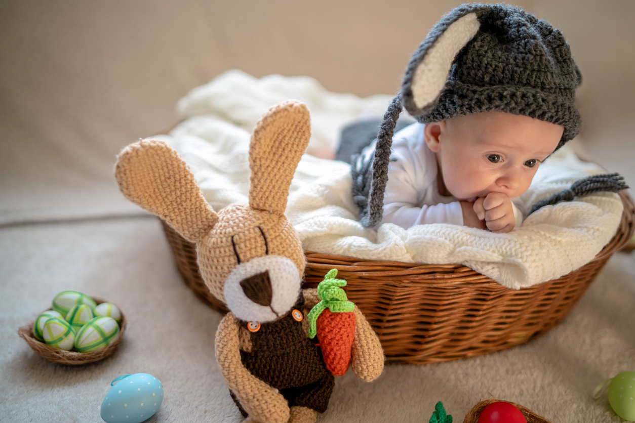 Cute baby bunny in the basket