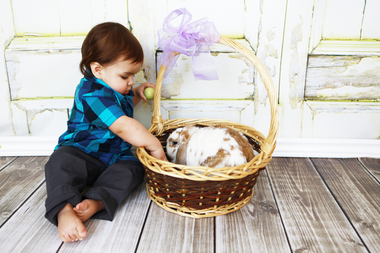 Baby Boy with Easter Bunny