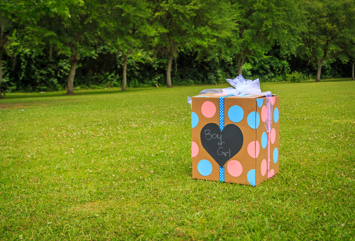 Gender Reveal Balloon Box