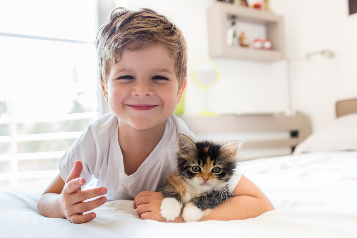 Adorable little boy and his kitten!