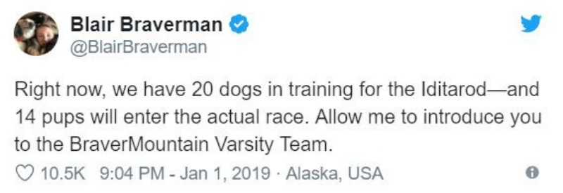 iditarod1.jpg