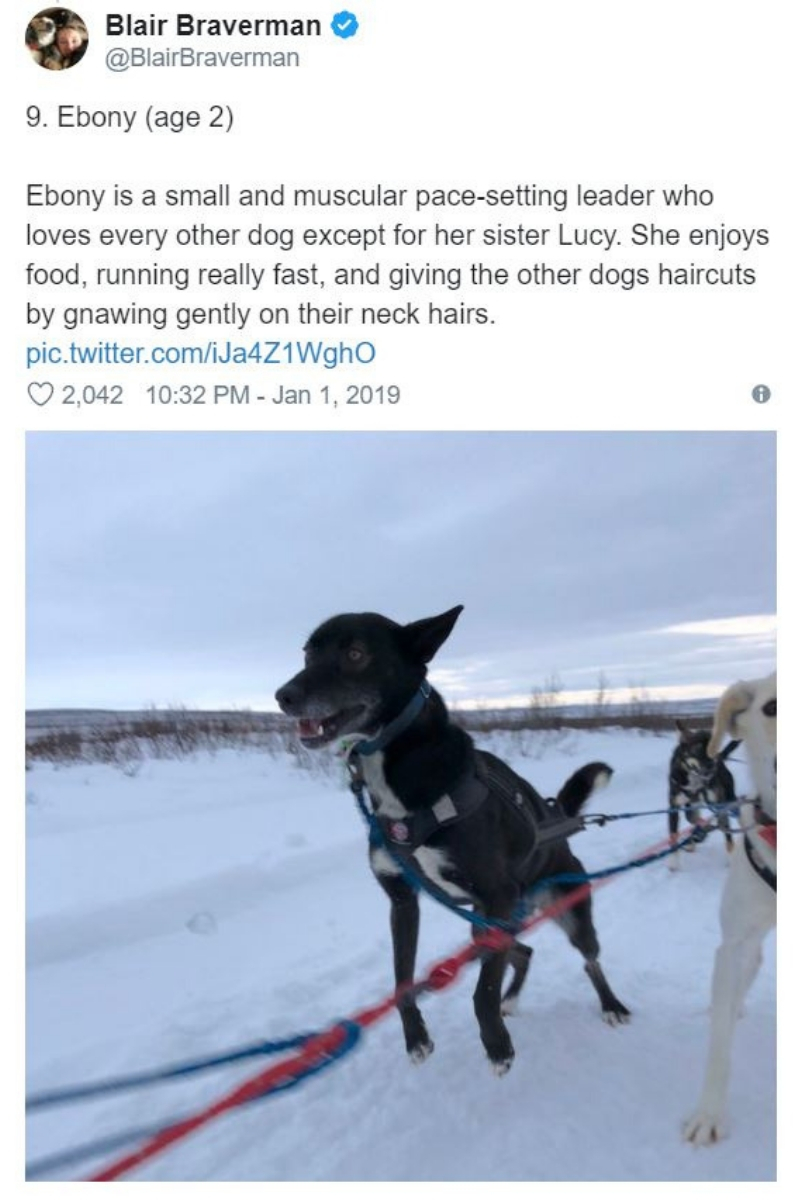 iditarod10.jpg