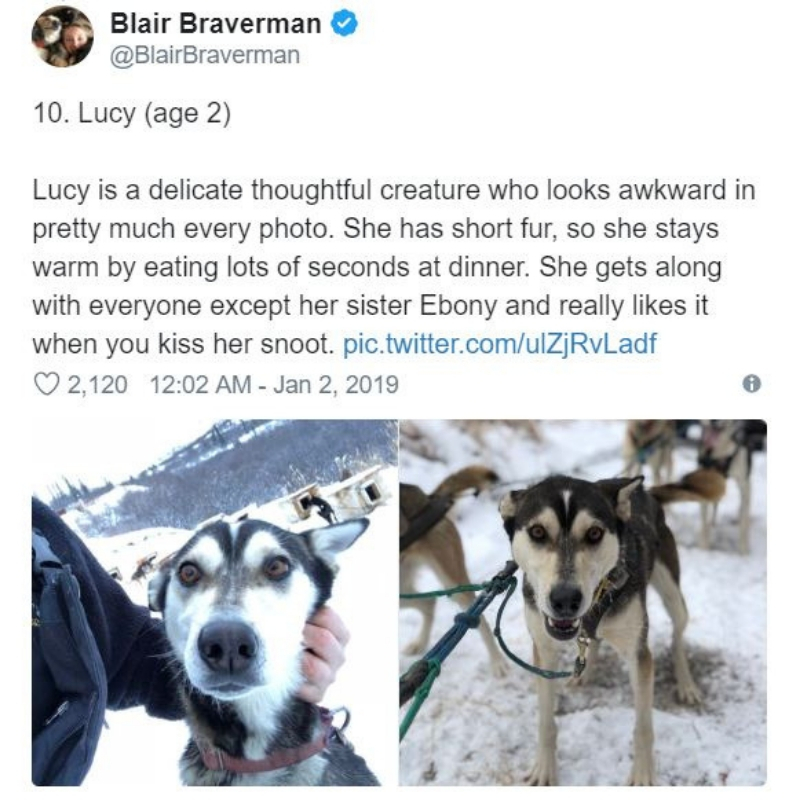 iditarod11.jpg