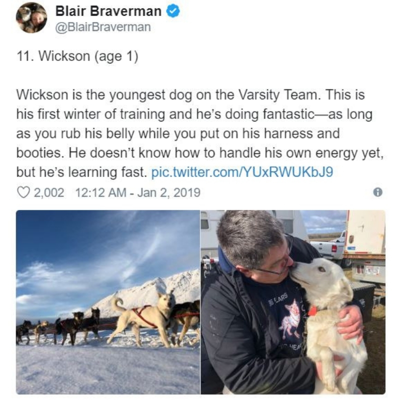 iditarod12.jpg