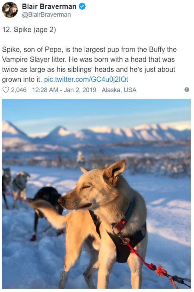 iditarod13.jpg