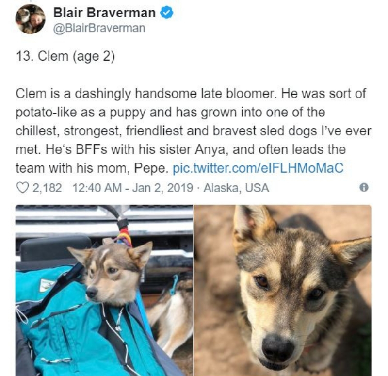 iditarod14.jpg