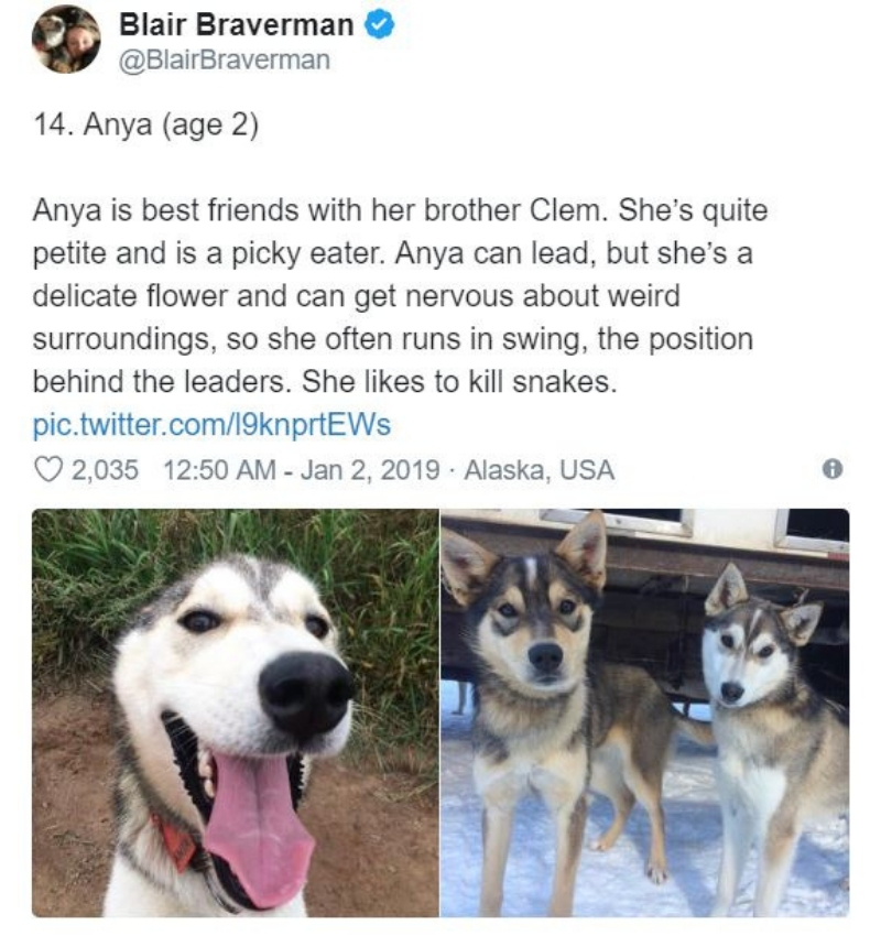 iditarod15.jpg