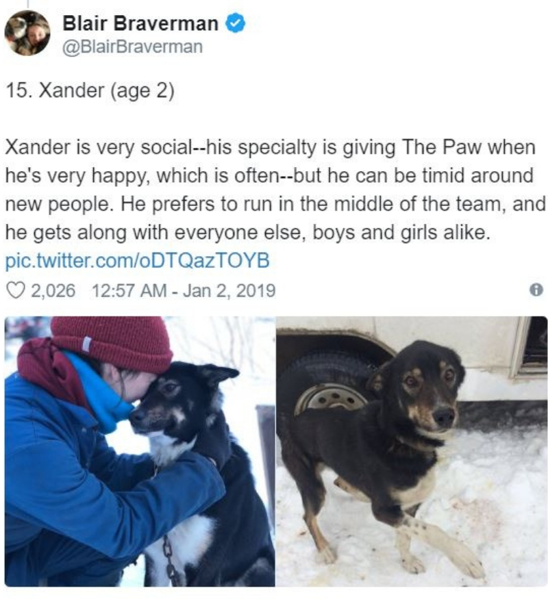 iditarod17.jpg