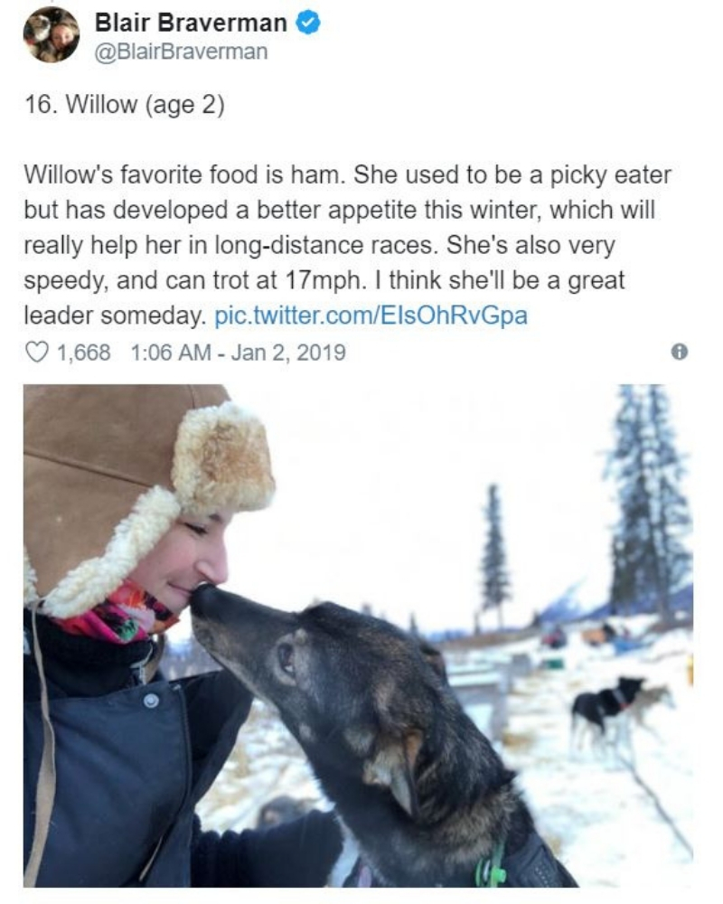 iditarod18.jpg