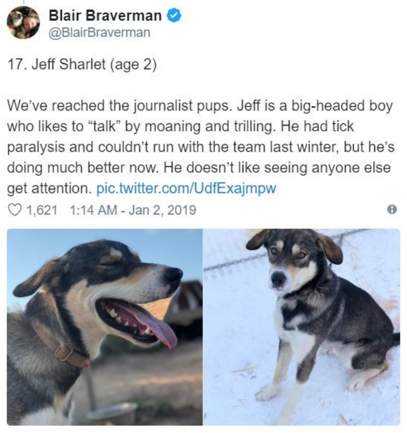 iditarod19.jpg