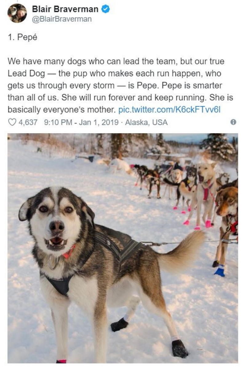 iditarod2.jpg