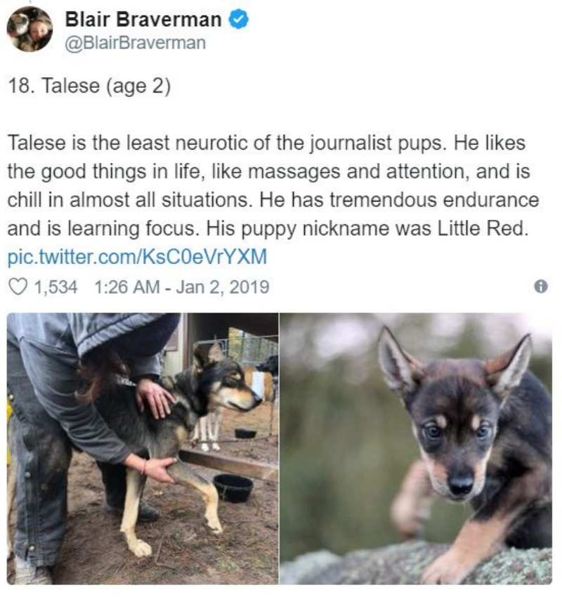iditarod20.jpg