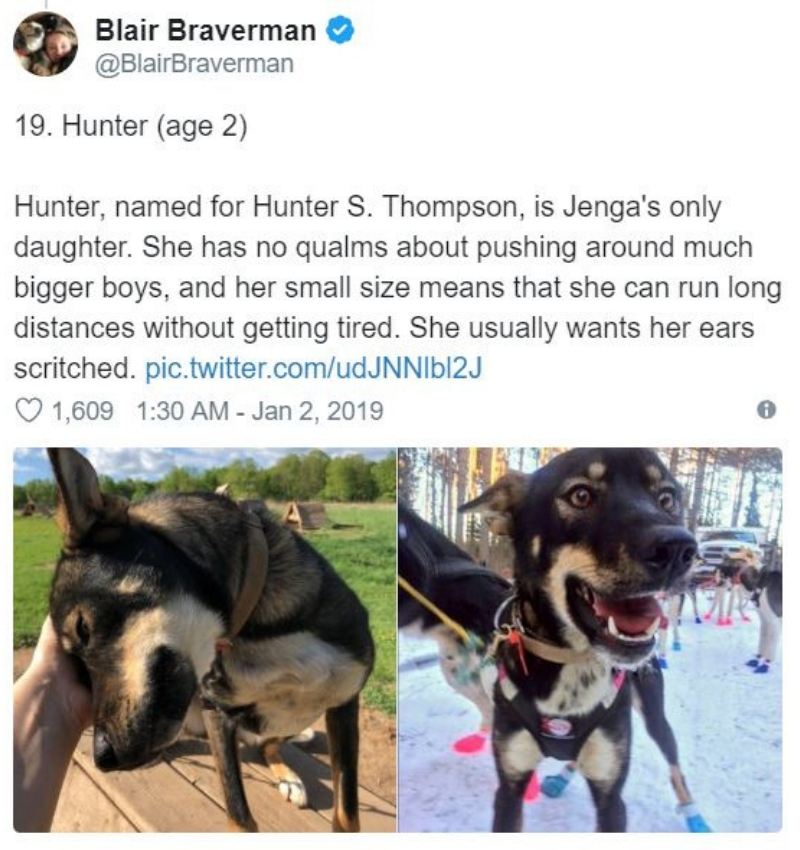 iditarod21.jpg