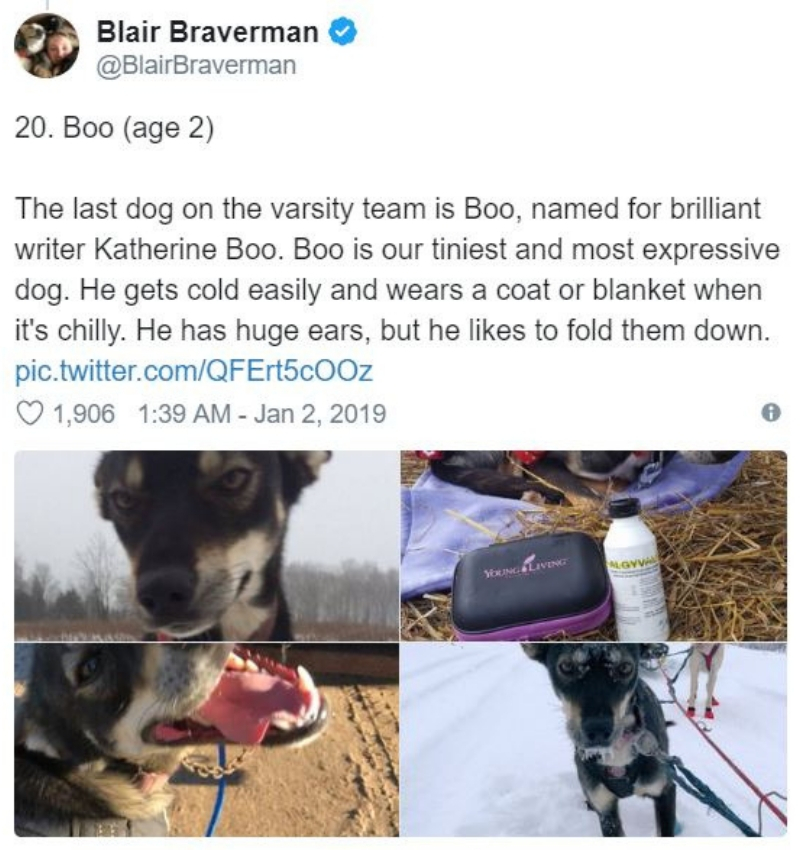 iditarod22.jpg