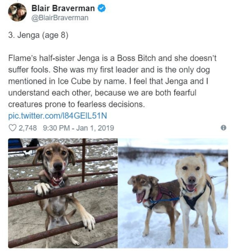 iditarod4.jpg
