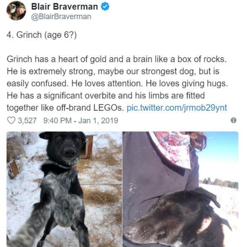 iditarod5.jpg