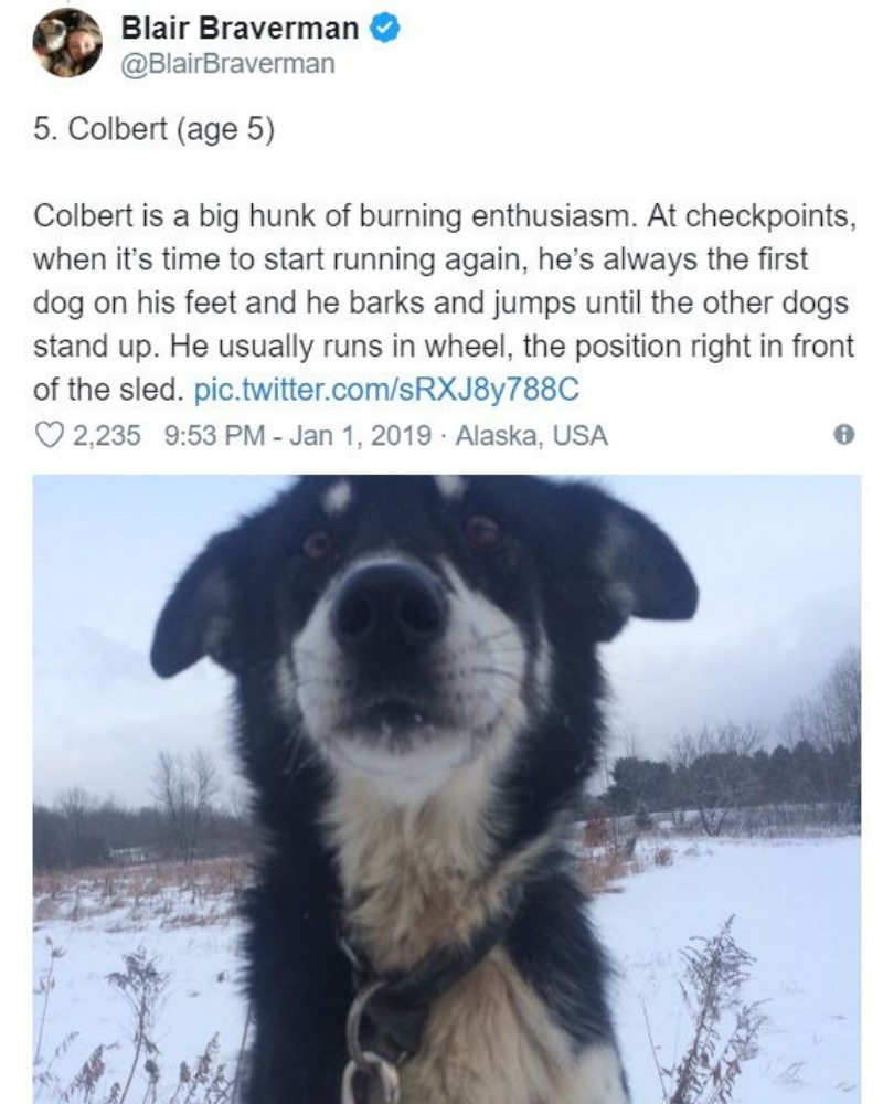 iditarod6.jpg