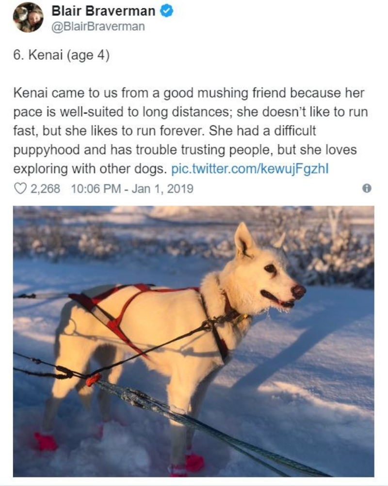 iditarod7.jpg