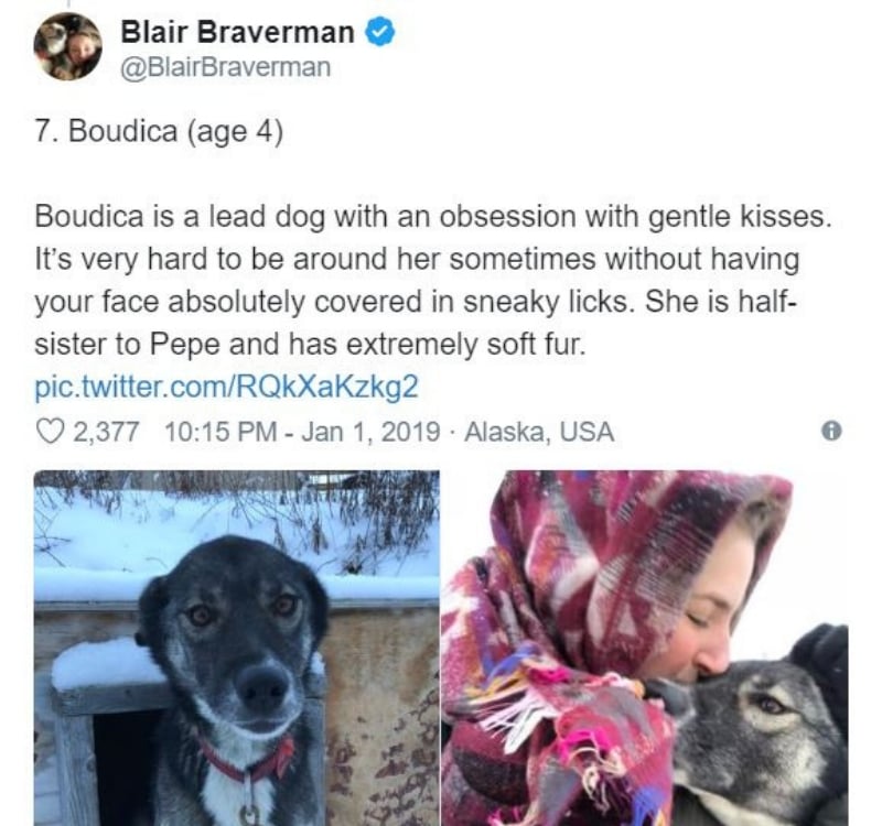 iditarod8.jpg