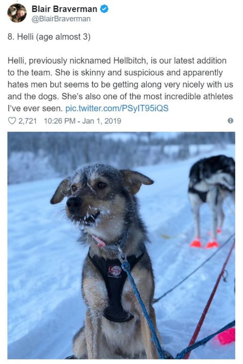 iditarod9.jpg