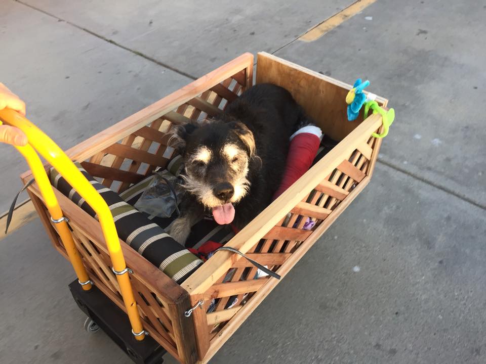 ike-feldman-home-depot.jpg