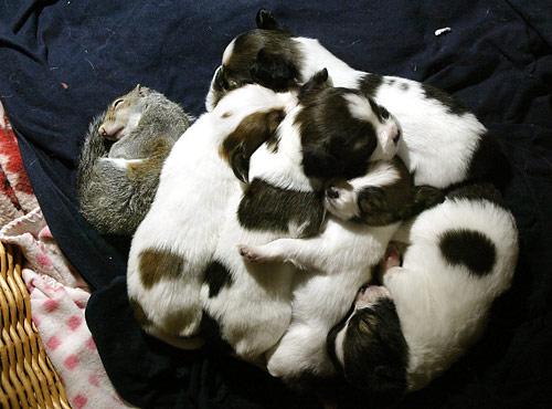 image1574.jpg