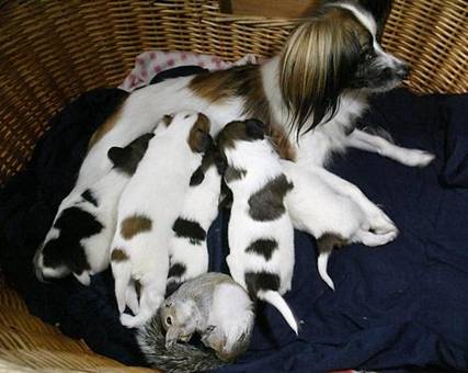 image17331.jpg