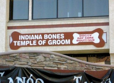 indiana-bones-400x290-1.jpg