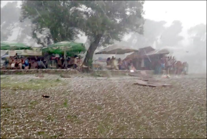 inside-people-hiding-under-trees.jpg