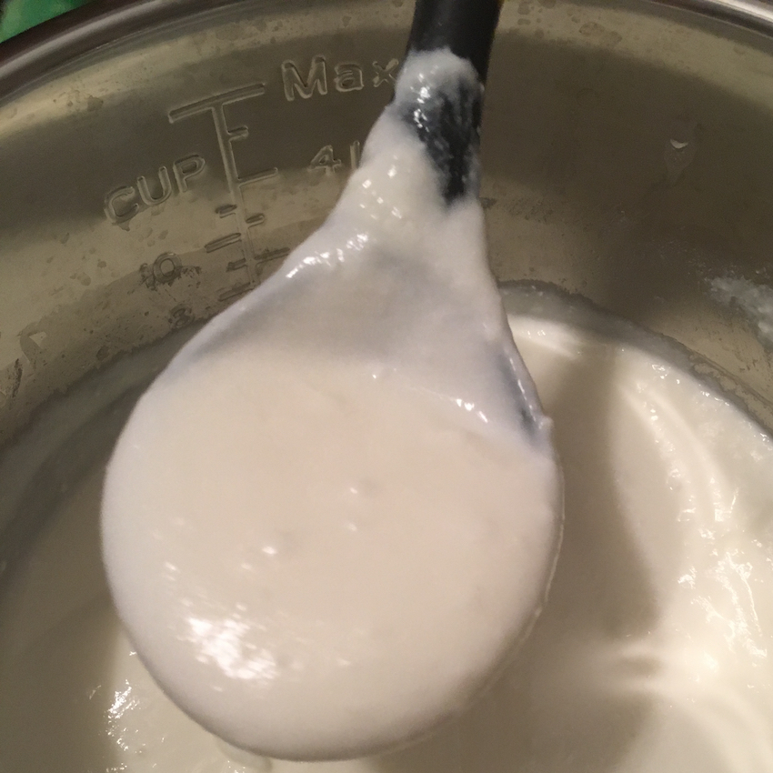 instant-pot-yogurt.jpg