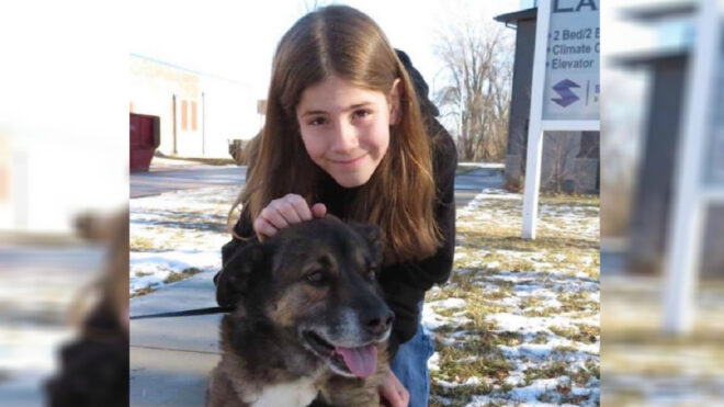 ive-pet-that-dog