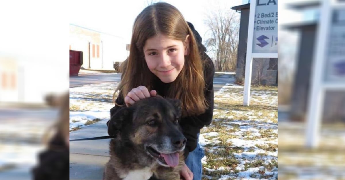 ive-pet-that-dog
