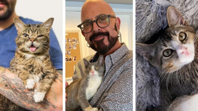 jackson-galaxy-cat-camp