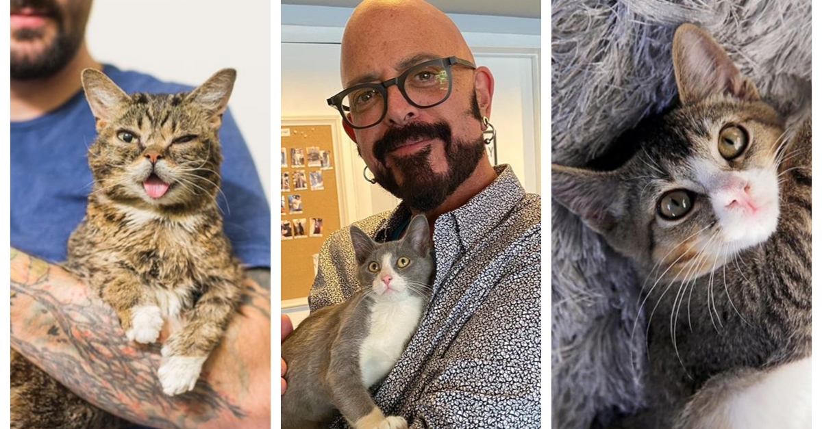 jackson-galaxy-cat-camp