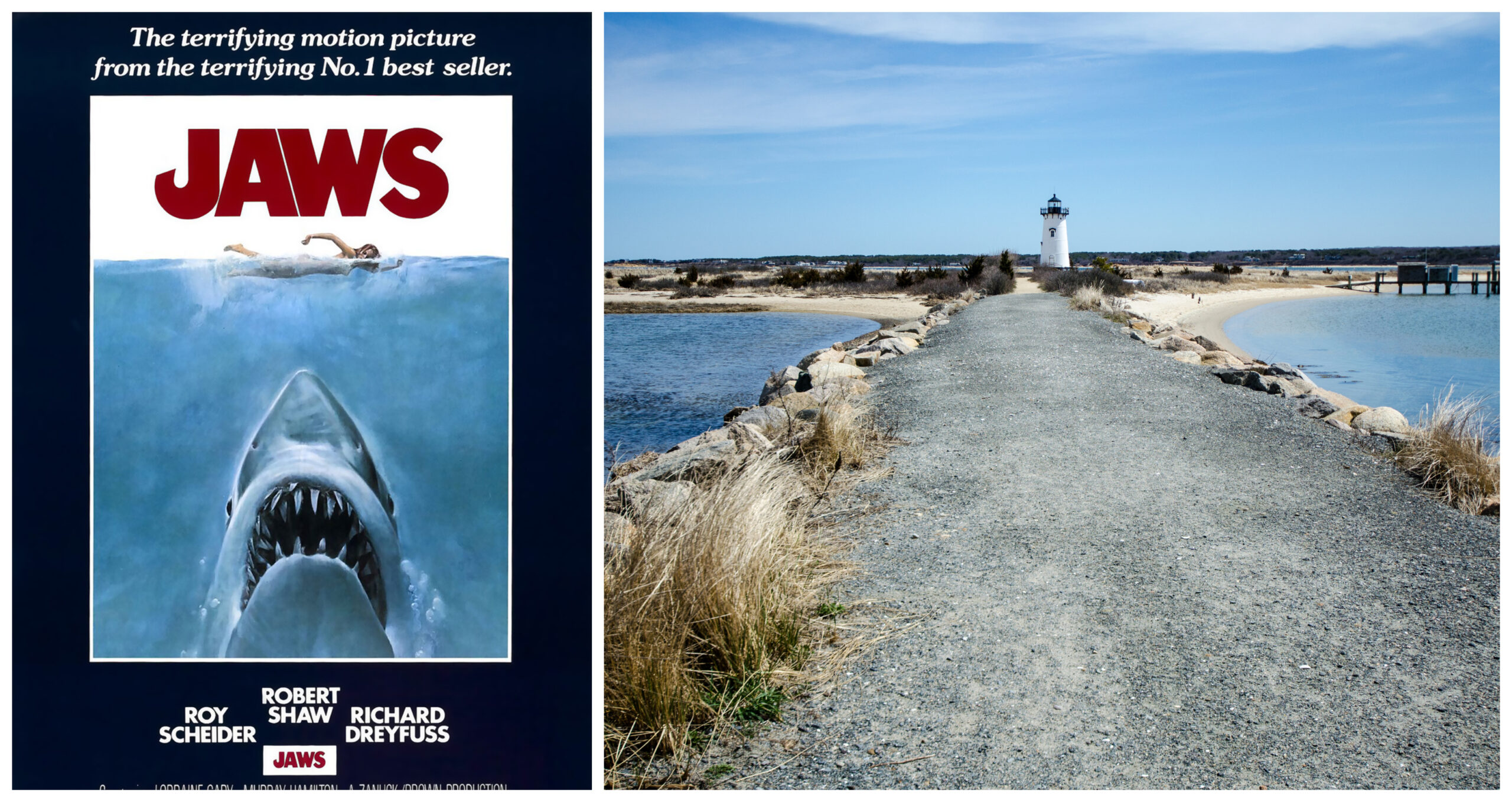 jaws-collage.jpg