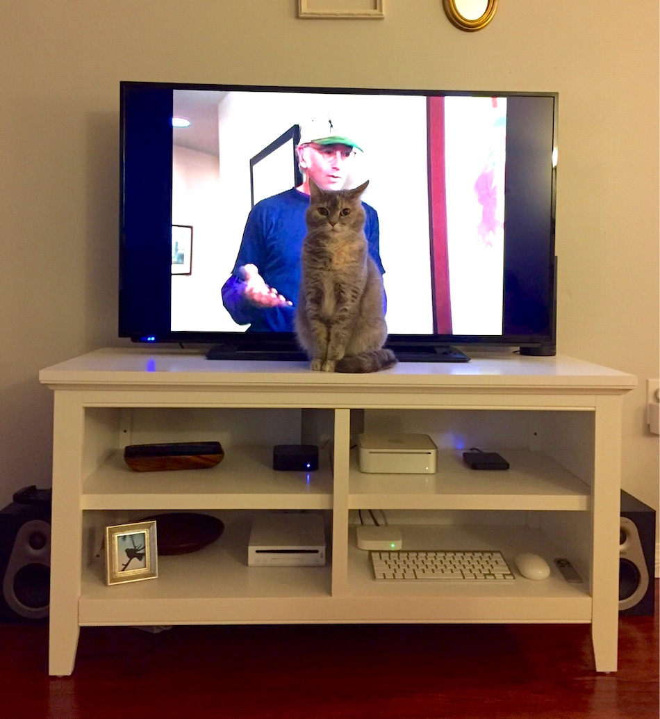 jerk-pet-14.jpg