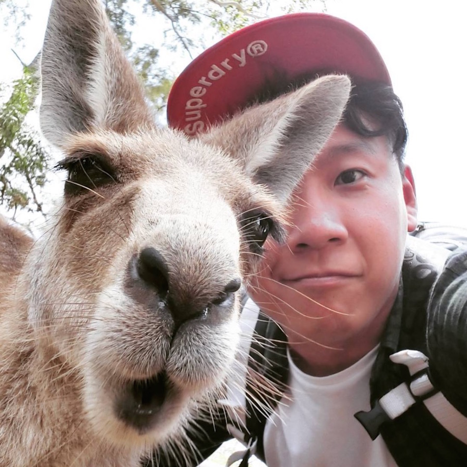 kangarooo.jpg