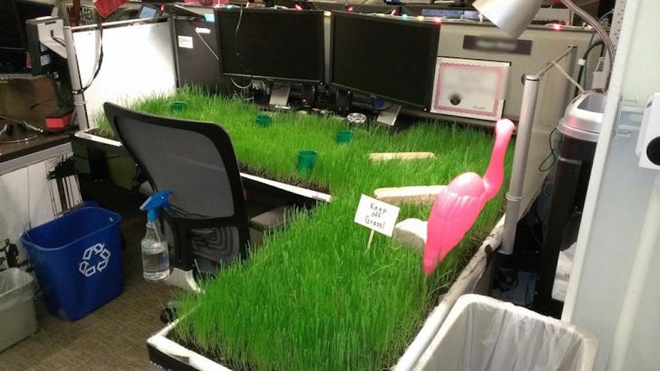 keep-off-grass.jpg