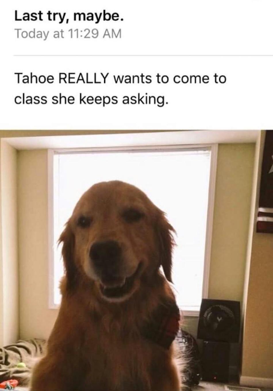 keeps-asking.jpg