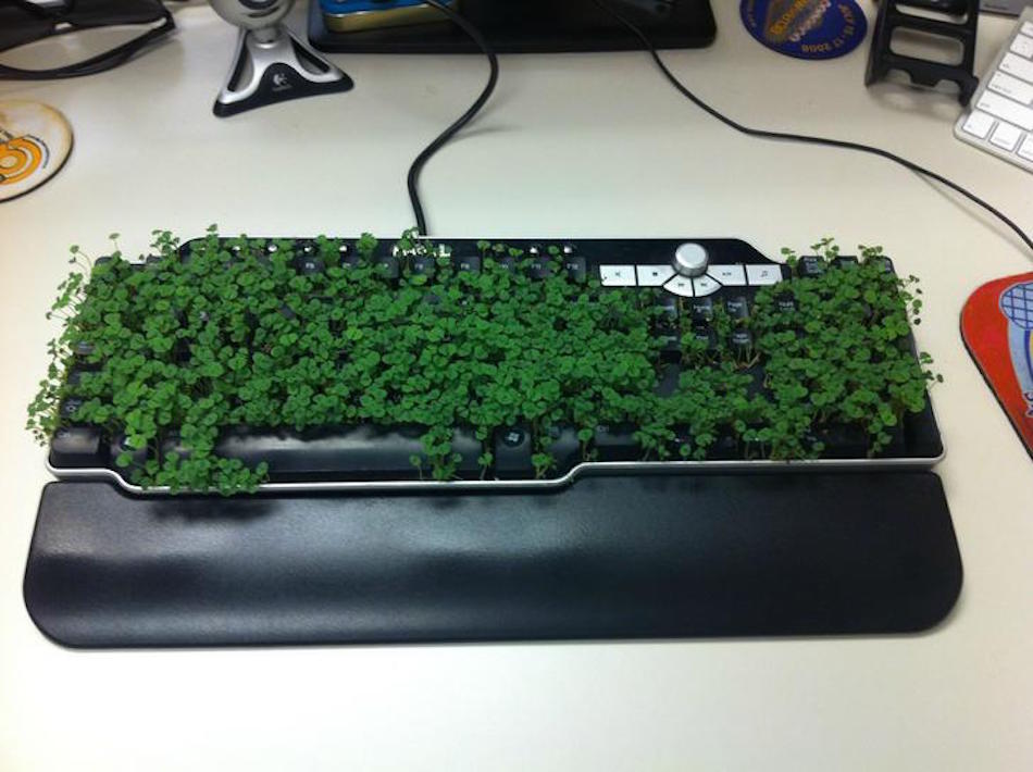 keyboard.jpg